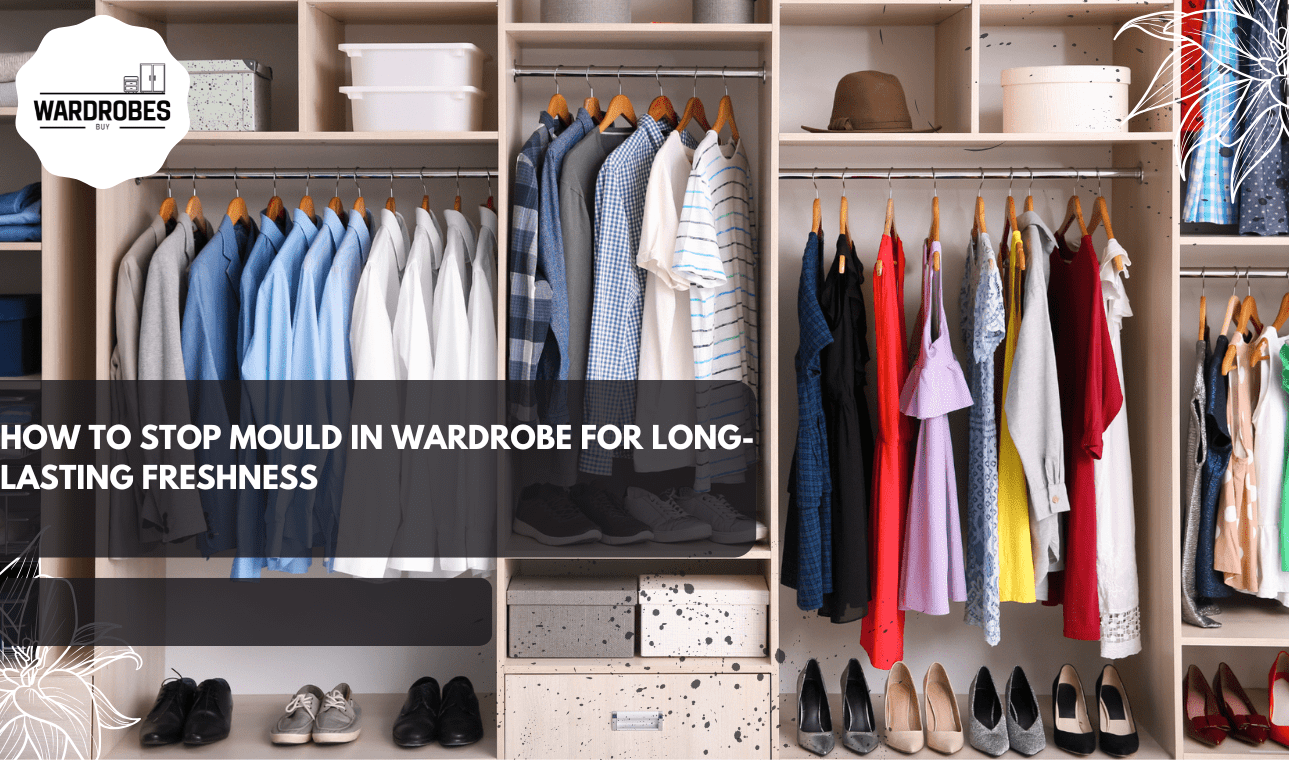 Clean and organised wardrobe with fresh clothes showing how to stop mould in wardrobe effectively.